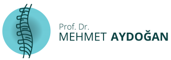 Prof. Dr. Mehmet Aydoğan